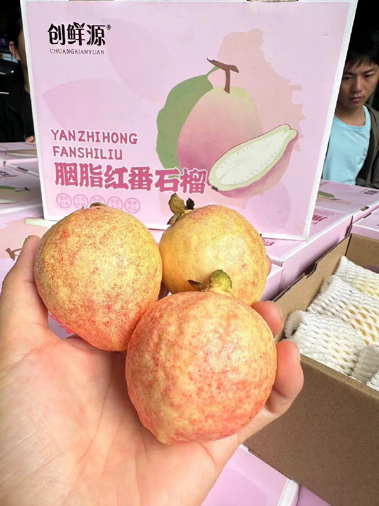 胭脂红石榴.jpg